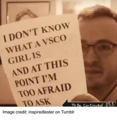 I Don T Know What A Vsco Girl Is And At This Point I M Too
